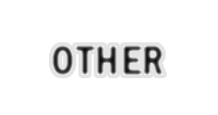 Раздел OTHER